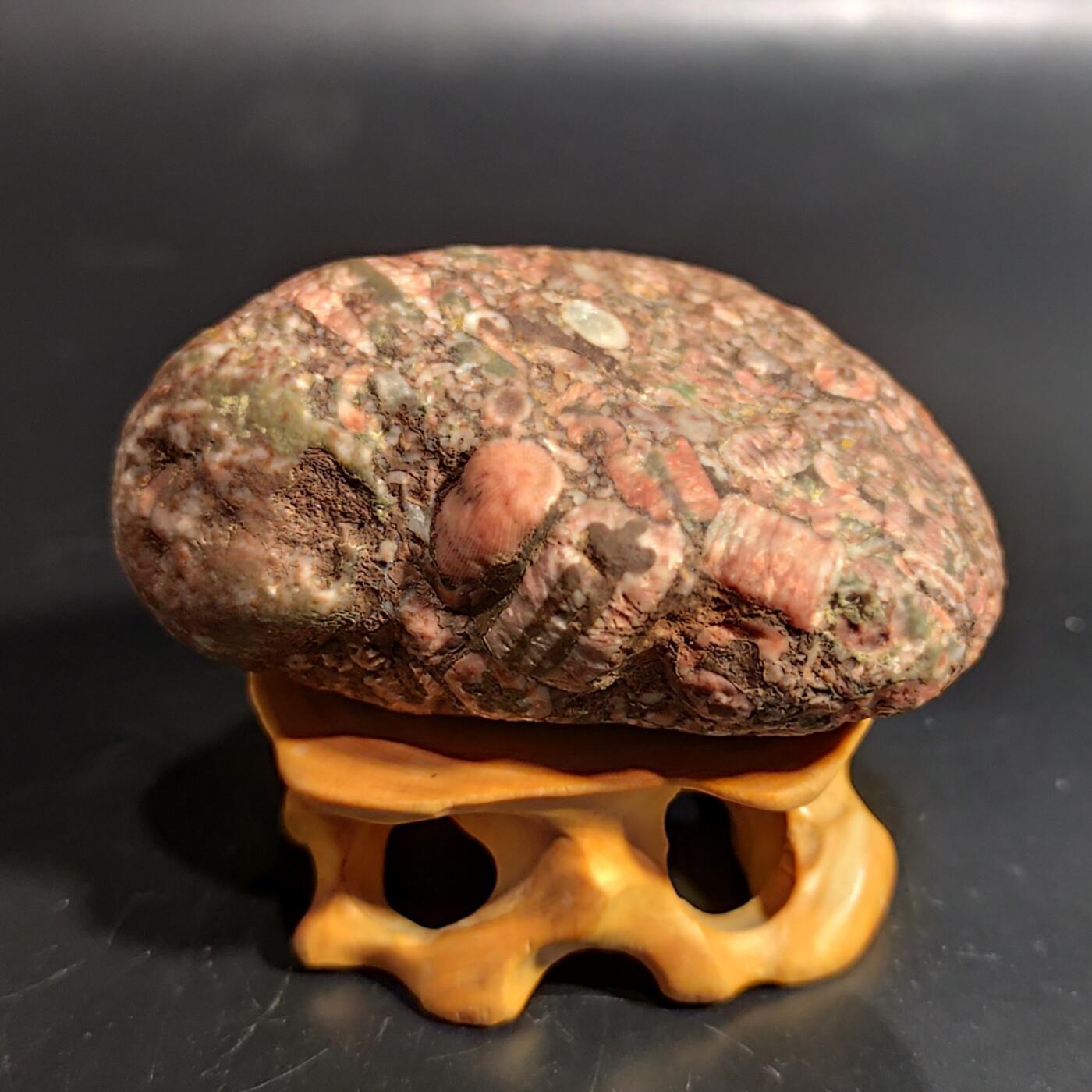 希腊罗马丝路打制币化石【中外钱币放漏】专场！陆小鱼的钱币仓，限时拍卖第080场 4.5亿年前海洋生物化石大集合多宝原石 海百合/太阳花单体/蜂巢珊瑚等多种生物化石 少见180g