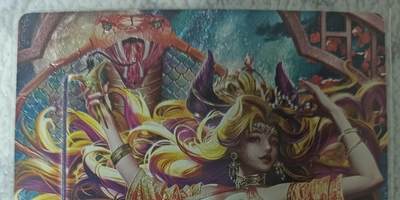 花开卡拍第42期（10月12号周日截拍，品控勿拍!!!拍品不寄存，运费5元，自制卡难免瑕疵，可能存在轻微撞角爆边等出厂瑕疵，品控介意勿拍！） - 卡玩帕克 魂姬三国 何皇后 粗闪