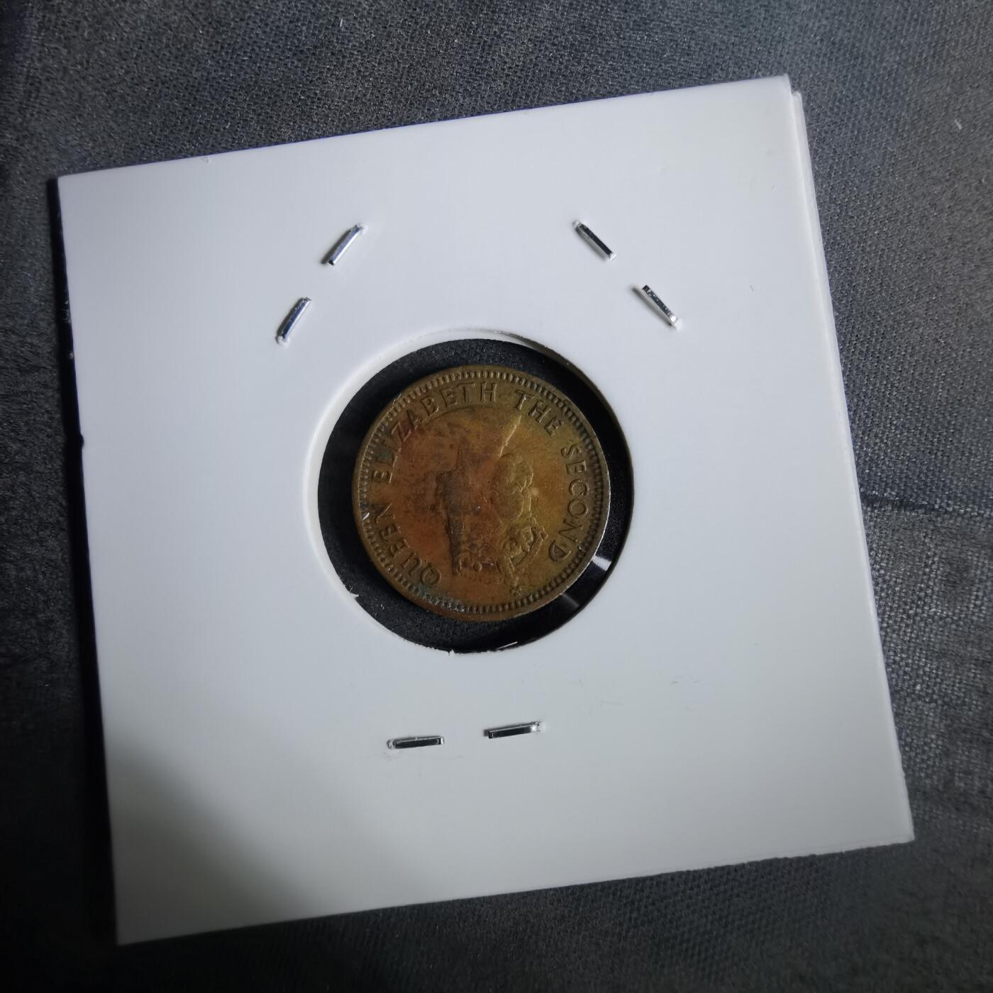 沼泽如烟--第871场 香港1963年五仙