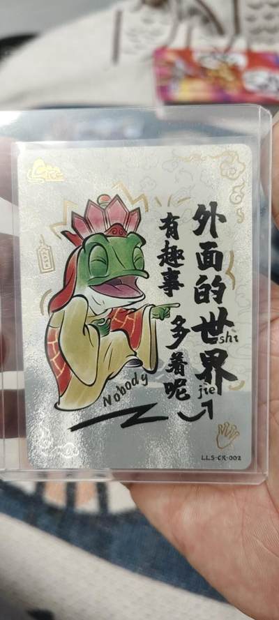 秋原瞳的小店第二十五期（持续收拍，时光冉冉，又是即将带走🍁🍁🍁飘落🌨️🌨️🌨️的季节，一大批好物正在路上，敬请期待） - 卡游浪浪山cr