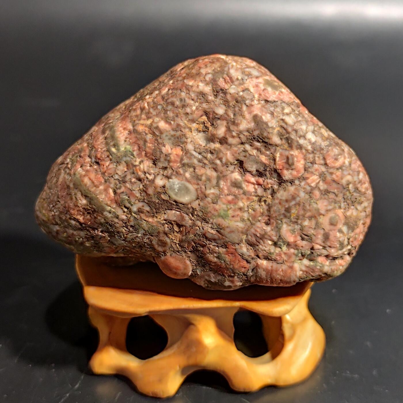 希腊罗马丝路打制币化石【中外钱币放漏】专场！陆小鱼的钱币仓，限时拍卖第080场 4.5亿年前海洋生物化石大集合多宝原石 海百合/太阳花单体/蜂巢珊瑚等多种生物化石 少见180g