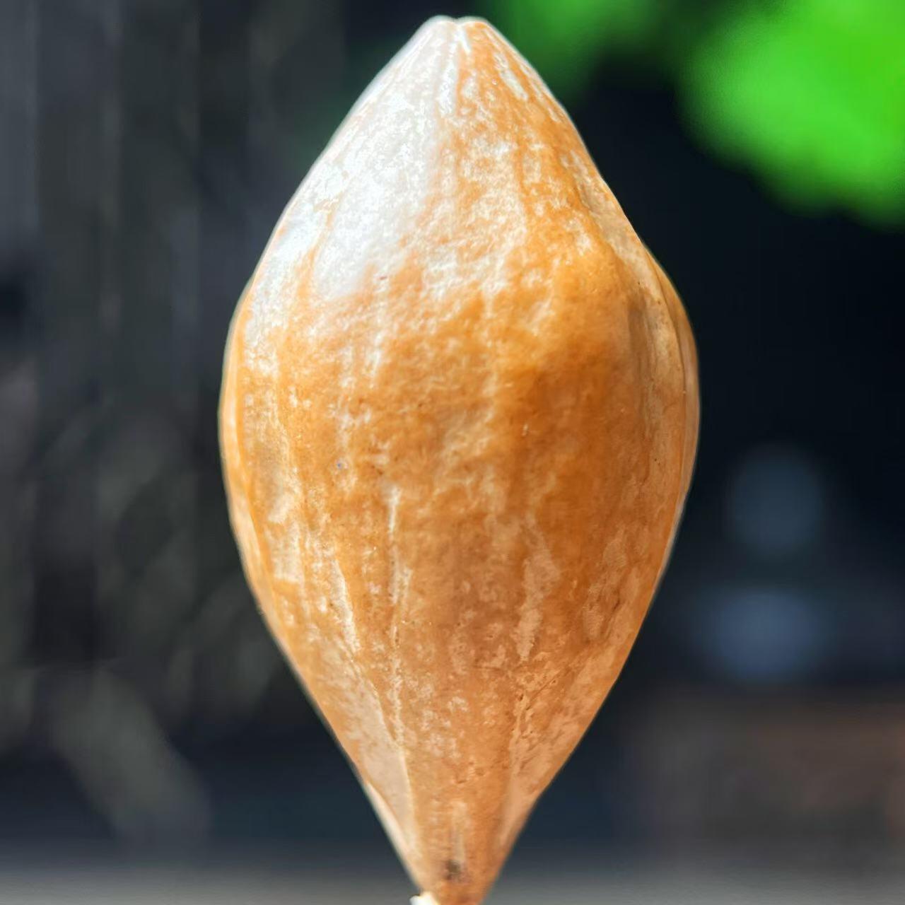 听雨轩核雕 竹木器专场（2） 橄榄核雕 2.0 正法一念 单粒