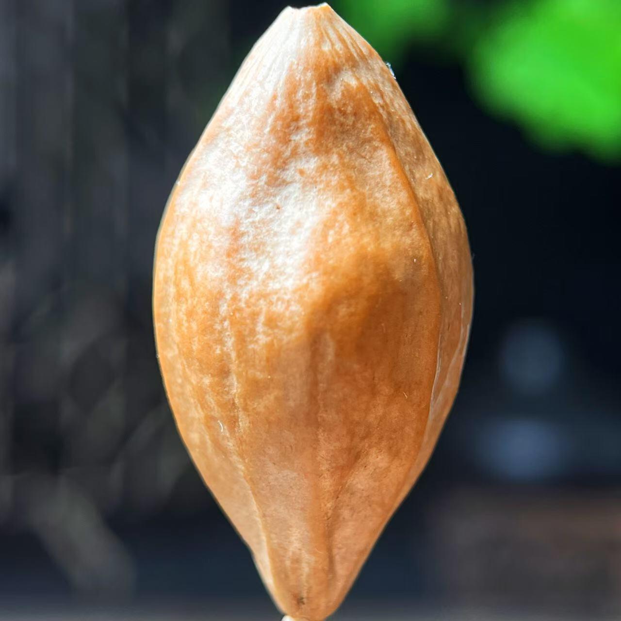 听雨轩核雕 竹木器专场（2） 橄榄核雕 2.0大圣礼佛 单粒