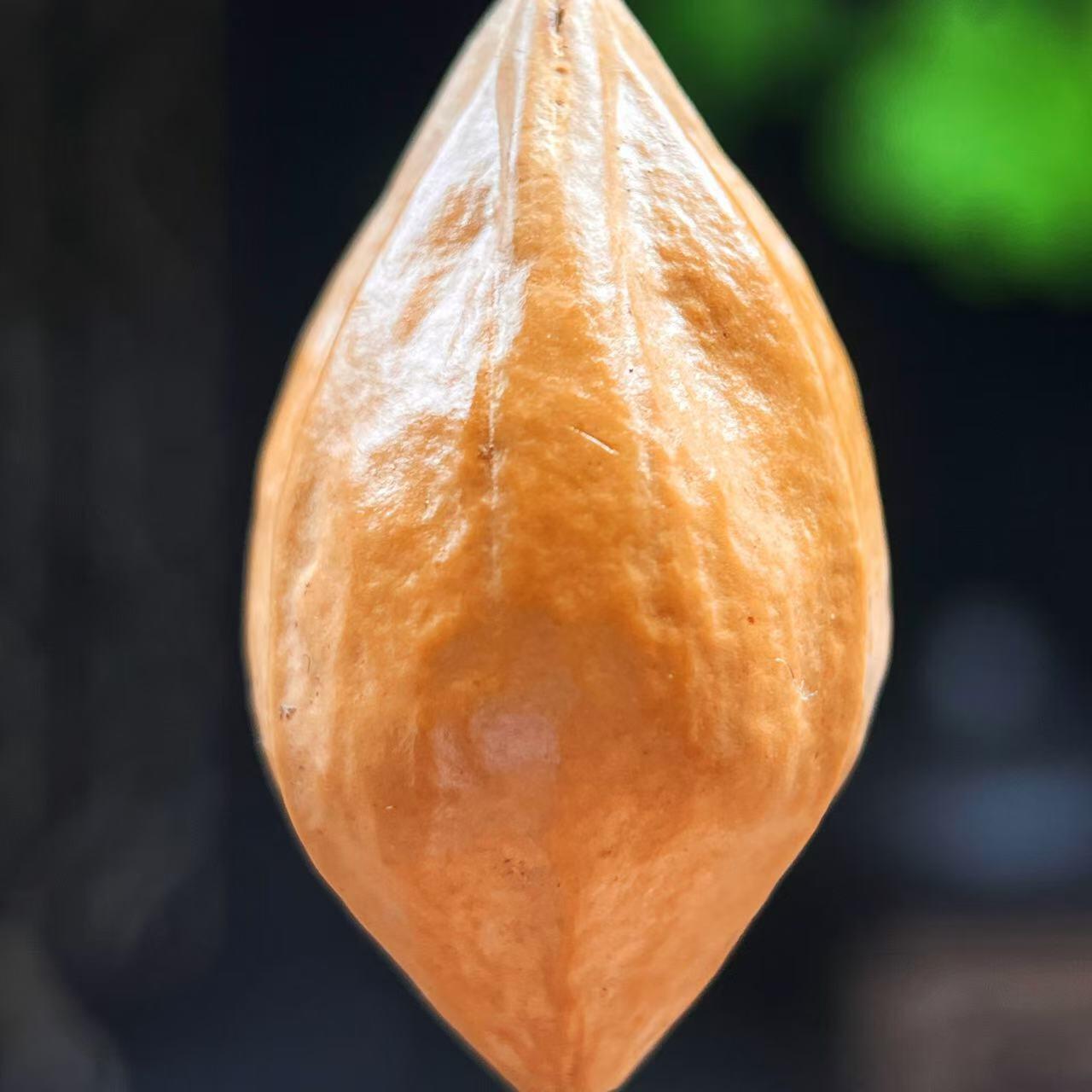 听雨轩核雕 竹木器专场（2） 橄榄核雕 2.0大黑天 单粒吊坠