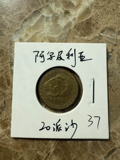 四海杂货铺第三场 - 阿尔及利亚硬币