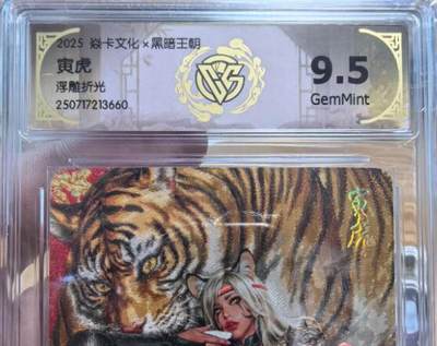 NO.12 好又多金牌大场，金戈铁马+美女如云，每周一站式配齐，方便凑单！（周6晚6点半截拍，卖家送拍0抽成！） - 焱卡 黑暗王朝 寅虎 浮雕折光 9.5G