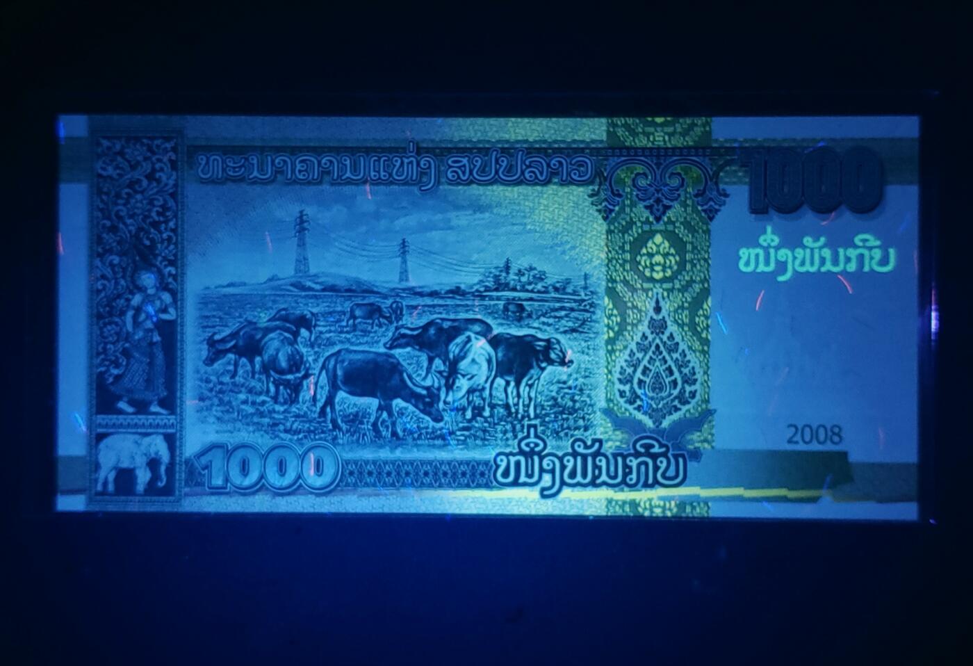 侵权作废版 AA首发冠老挝1000基辅 2008年全新UNC纸币老纸钞外国