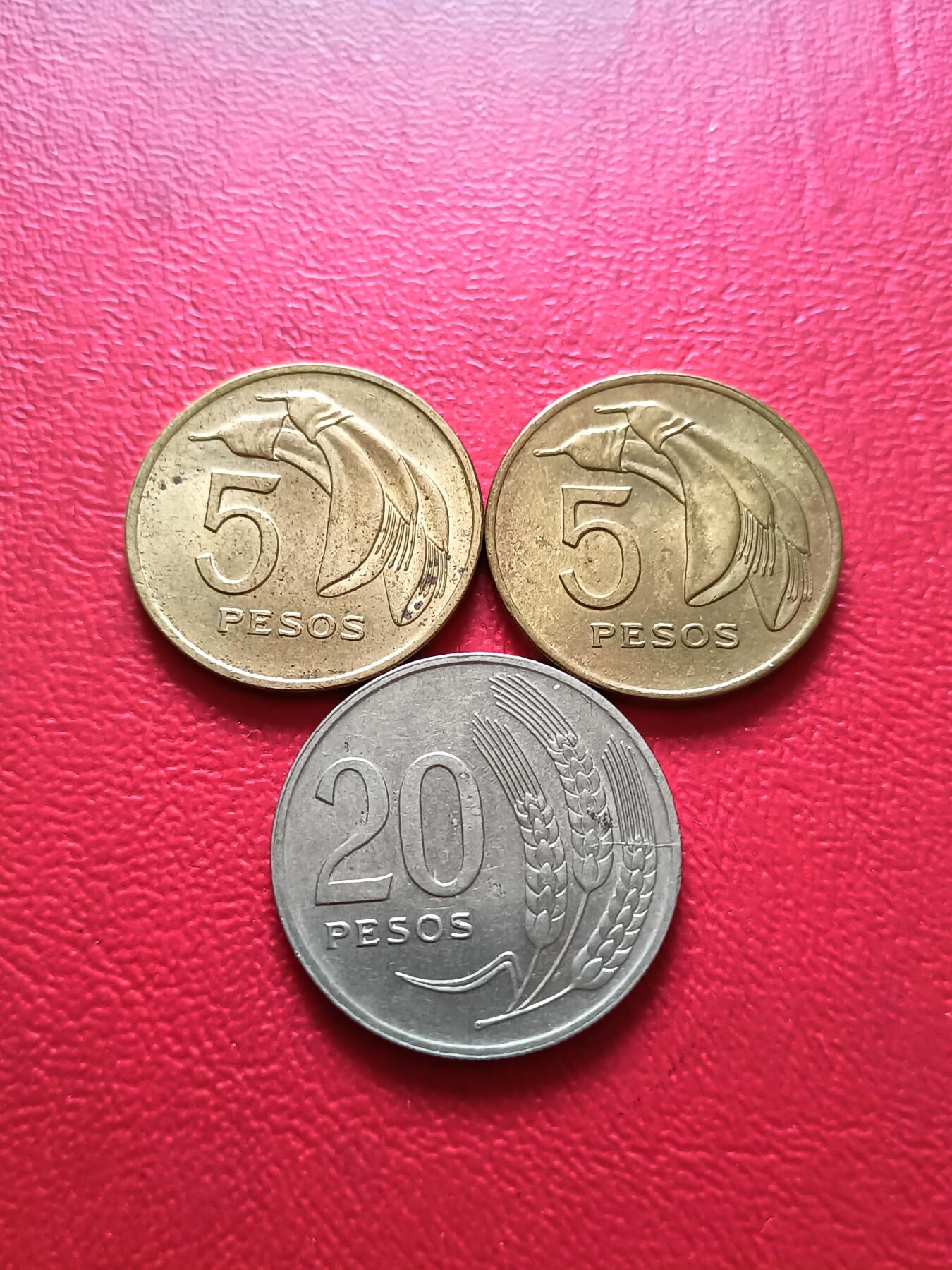 【云涧收藏】第七十场