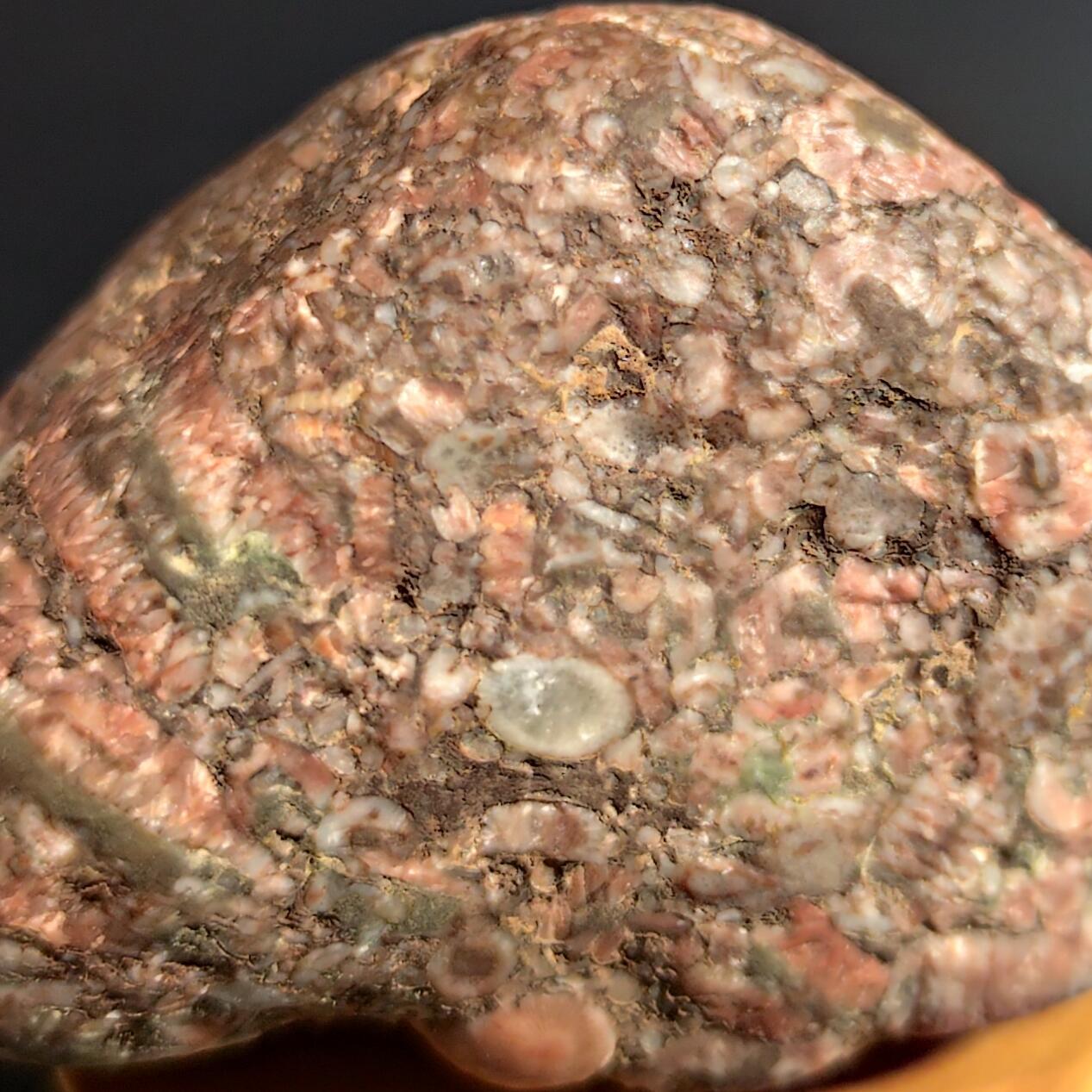 希腊罗马丝路打制币化石【中外钱币放漏】专场！陆小鱼的钱币仓，限时拍卖第080场 4.5亿年前海洋生物化石大集合多宝原石 海百合/太阳花单体/蜂巢珊瑚等多种生物化石 少见180g