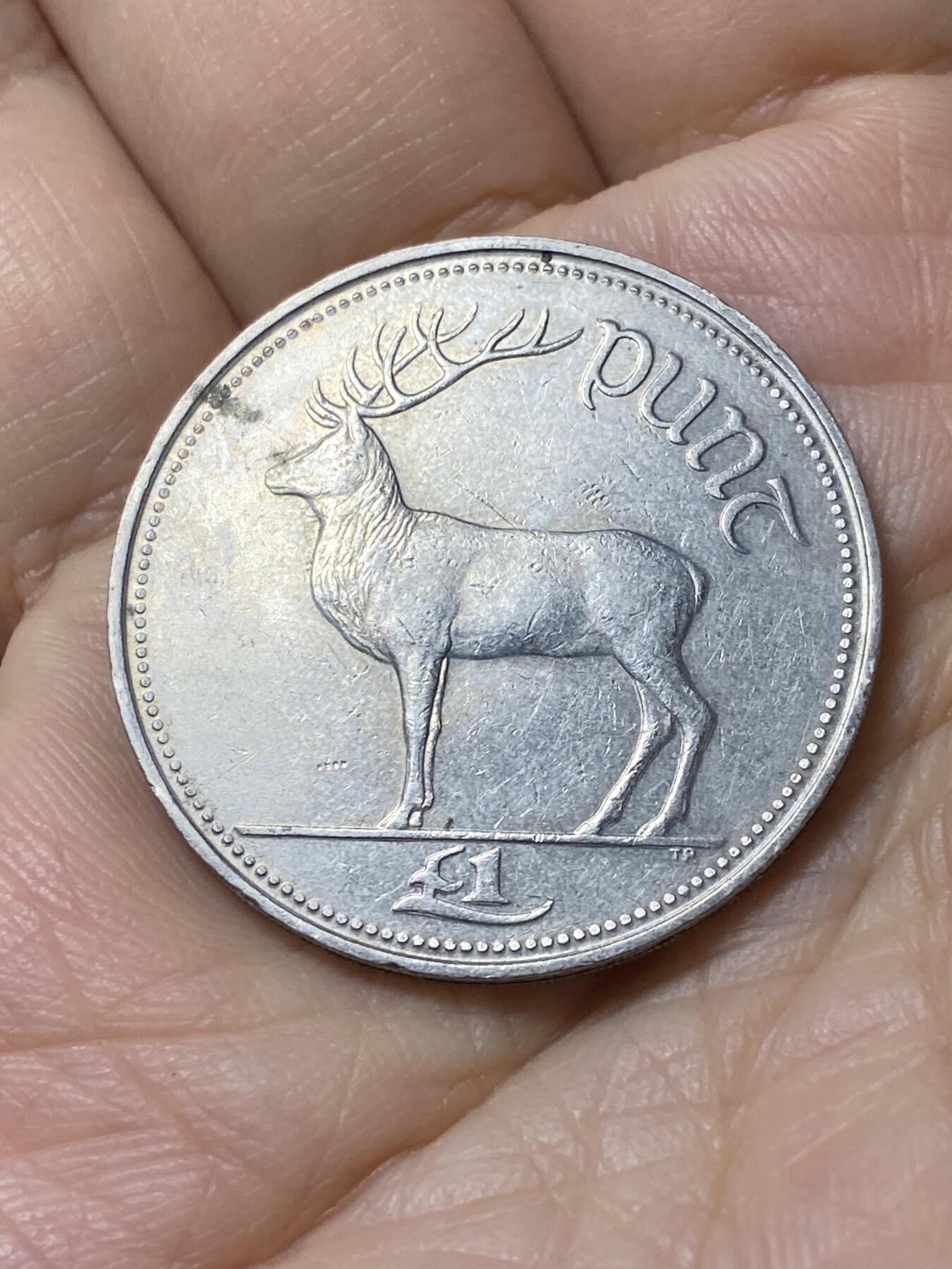 2025年第一百零八场(总第一百三十四场）外国好品散币(免佣金) 爱尔兰🇮🇪1990年1镑(共和国时期第二套第二版最大面值)
