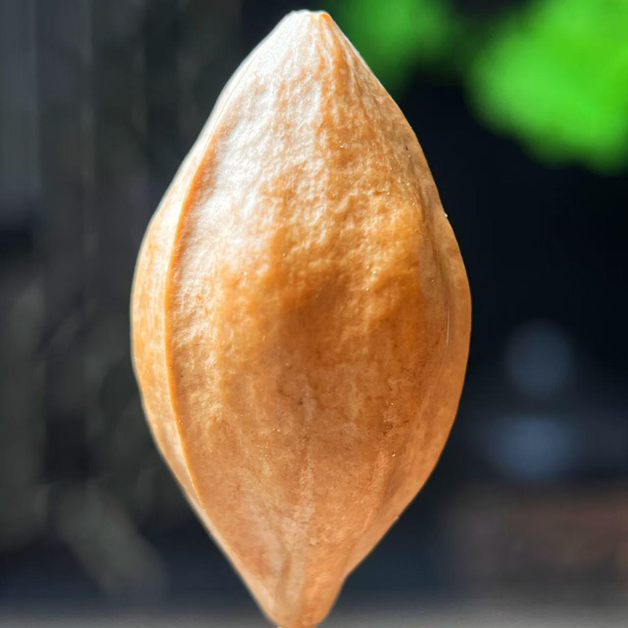 听雨轩 核雕 竹木器专场 橄榄核雕 2.0狮子单粒