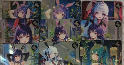 花开卡拍第42期（10月12号周日截拍，品控勿拍!!!拍品不寄存，运费5元，自制卡难免瑕疵，可能存在轻微撞角爆边等出厂瑕疵，品控介意勿拍！） - 驴总，兔女郎，精扣霞光闪9张