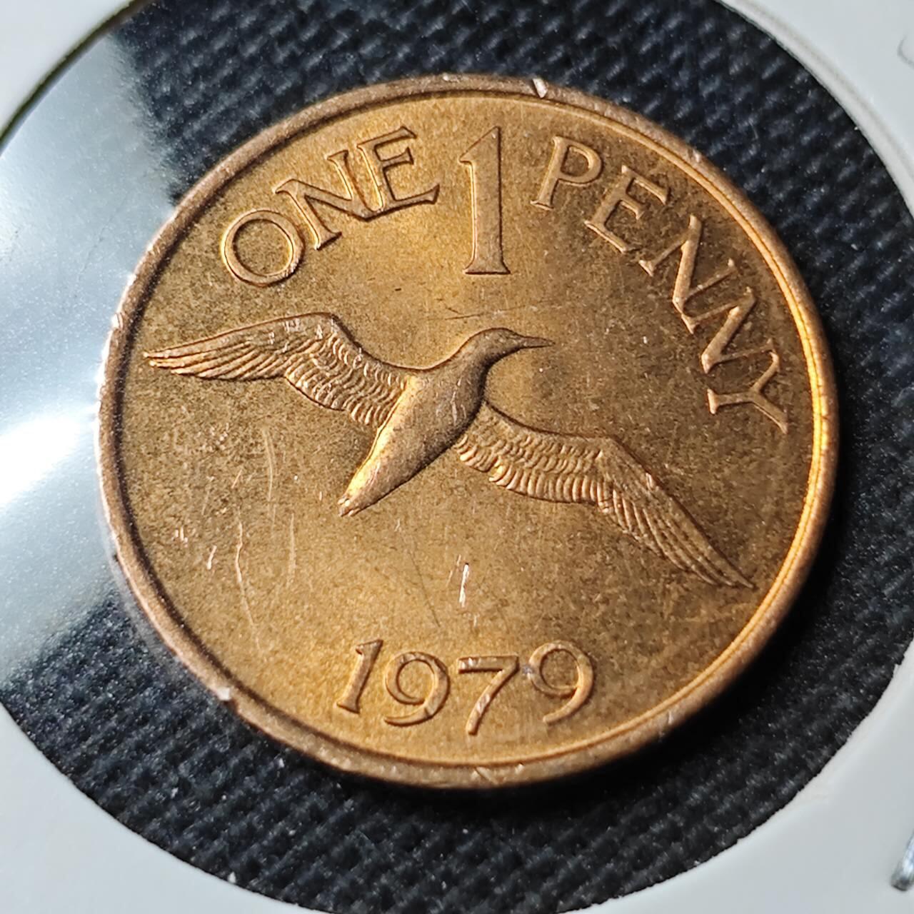 KK钱币收藏小铺 第354场 2月预留时间 周末发货