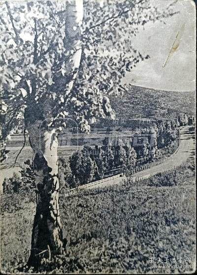 嘉禾收藏    【第347期】            无佣金、可寄存、满30元包邮 - 苏联明信片，1956年 乌兰乌德公路