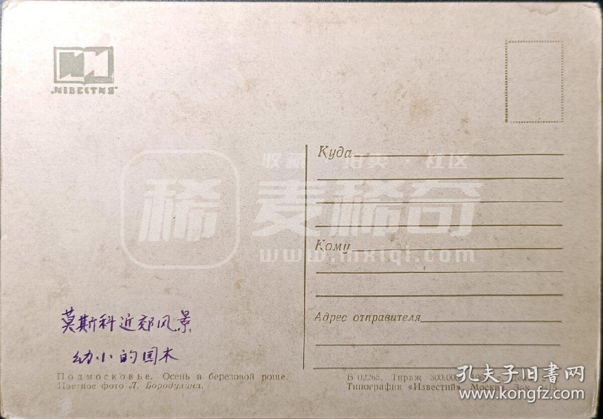 嘉禾收藏    【第347期】            无佣金、可寄存、满30元包邮 苏联明信片，1962年 莫斯科秋天的柏树林里