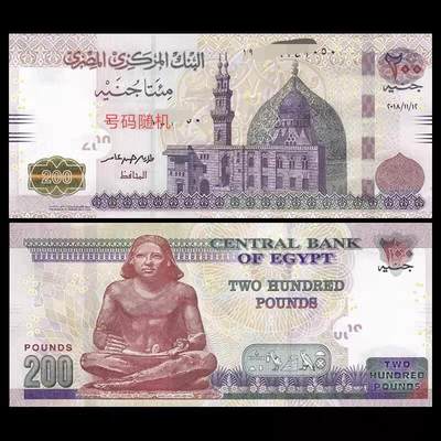 逸泉钱币2026A世界散币纸币纪念币专场A第一场 - 精美埃及200磅纸币古埃及抄写员雕塑 号码随机