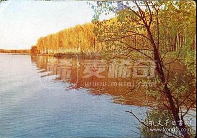 嘉禾收藏    【第347期】            无佣金、可寄存、满30元包邮 - 苏联明信片，1962年乌奇斯的水库风景明信片
