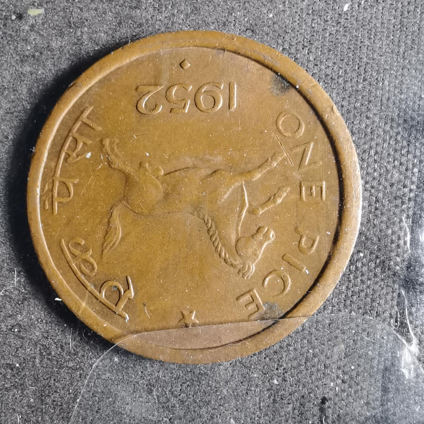 沼泽如烟--第872场 印度1952年1派斯