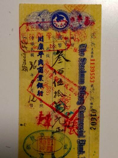 川康珍贵票证 - 川康珍贵票证