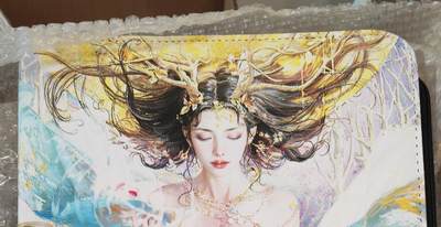 阳大大卡牌拍卖第75期（持续收拍品，周六晚上九点截拍，进群福利早知道） - 【卡册】焱卡文化 刷子 主题九宫卡册