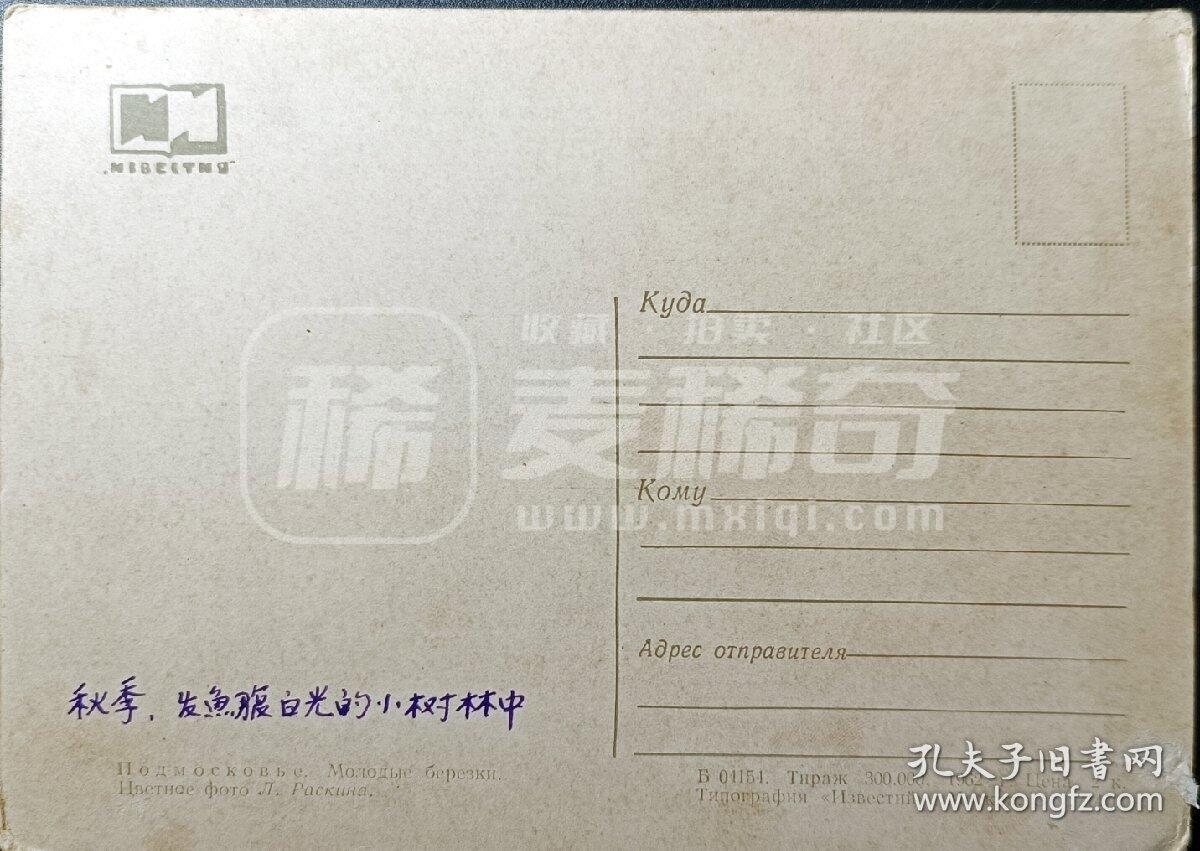 嘉禾收藏    【第347期】            无佣金、可寄存、满30元包邮 苏联明信片，1962年秋季在发鱼腹白光的小树林中