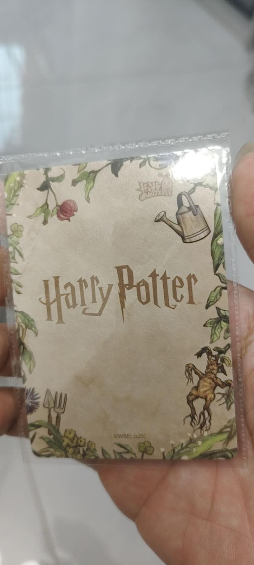 秋原瞳的小店第二十五期（持续收拍，时光冉冉，又是即将带走🍁🍁🍁飘落🌨️🌨️🌨️的季节，一大批好物正在路上，敬请期待）