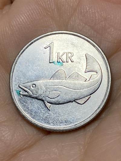 2025年第一百零九场(总第一百三十五场）外国好品散币(免佣金) - 冰岛🇮🇸1991年1克朗