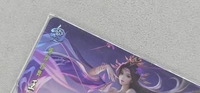 龙虎卡牌第五十九场（无佣金，满120包邮，周六晚上结拍，欢迎送拍） - 折光彩闪 鸡腿三国落衣版 王元姬