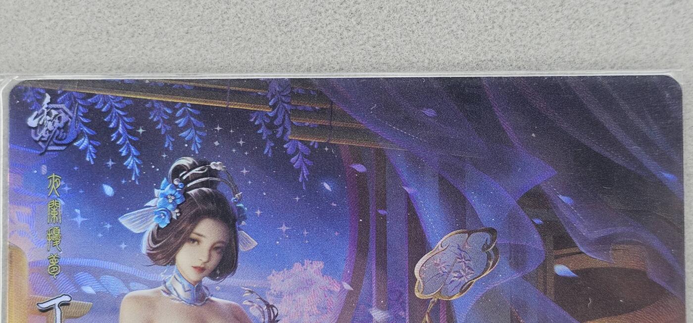 龙虎卡牌第五十九场（无佣金，满120包邮，周六晚上结拍，欢迎送拍） 折光彩闪 鸡腿三国 丁尚婉