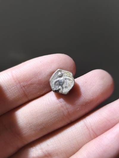 星盘世界钱币十月十八日实惠捡漏专场（低佣金，不直播）本场直播 - 某种丝绸之路的小银币很厚重