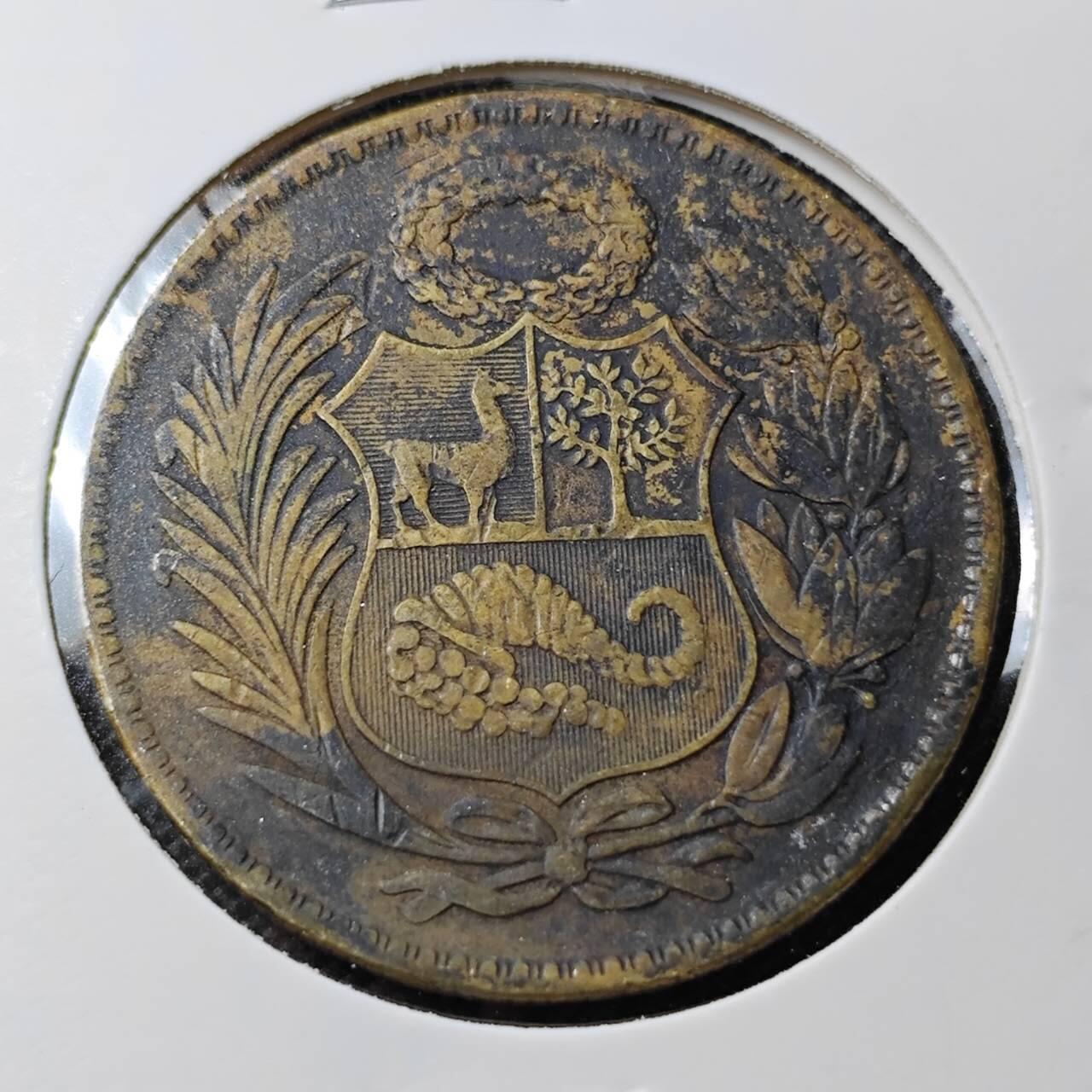 KK钱币收藏小铺 第354场 2月预留时间 周末发货