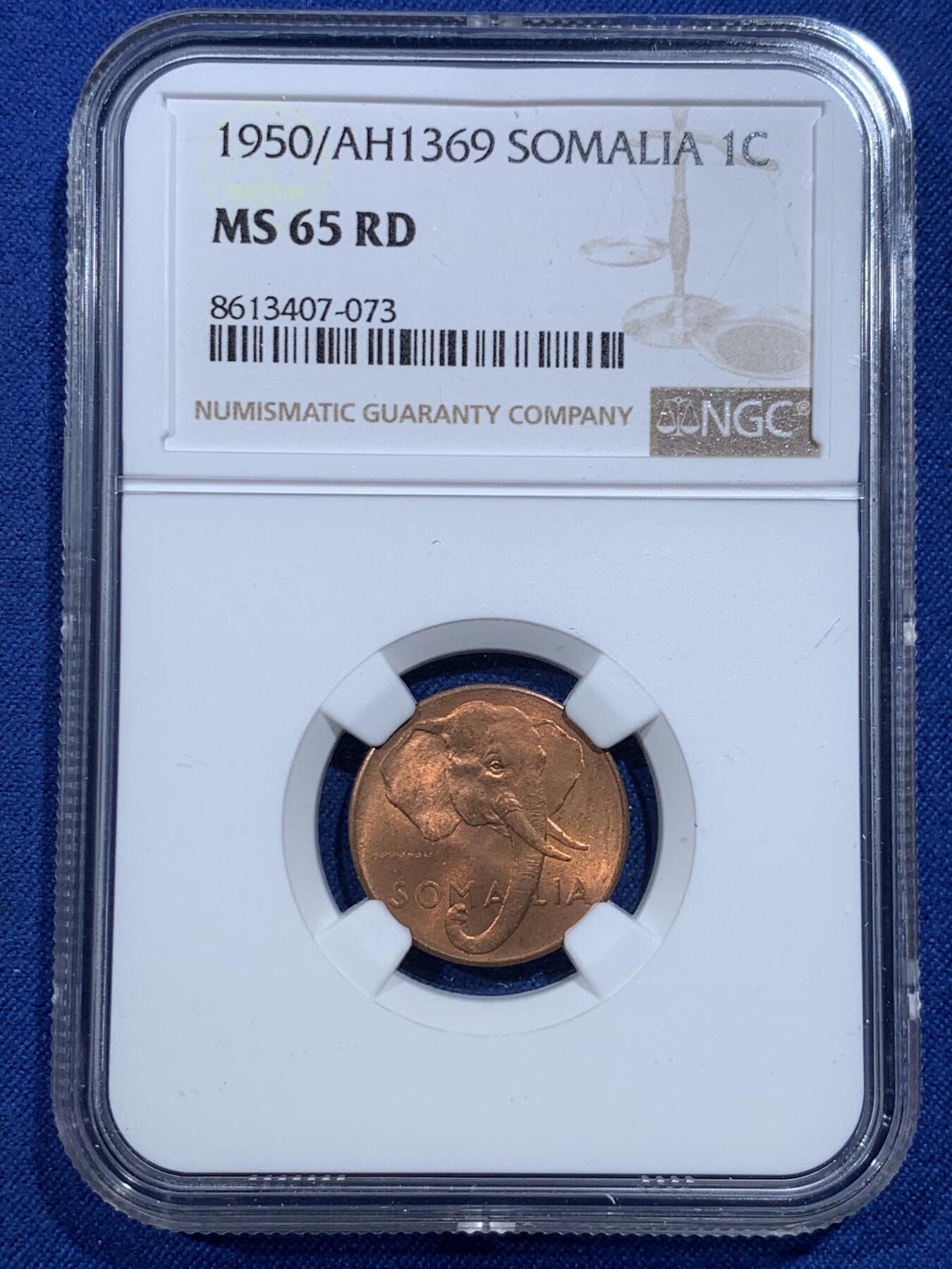 《竞宝斋》第427场 周日，周一  2场连拍 （全场包邮） 三枚一组 NGC MS63RB-65RD 意属索马里1950年1/5/10分铜币 拆卷评级 大象头图案 光线充足 细节优秀