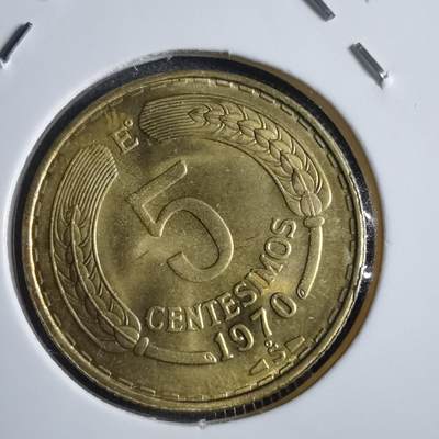 沼泽如烟--第875场 - 智利1970年五分