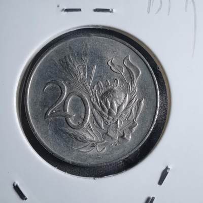 沼泽如烟--第875场 - 南非1965年20分