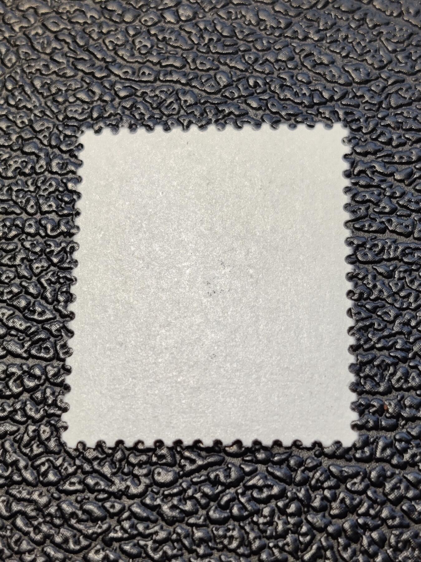 洪涛臻品批发群 精选邮票限时拍卖第1133期  T70 1982年狗年生肖邮票 实物正反图 原胶全品! 漂亮！(尾图95分成交价790元)