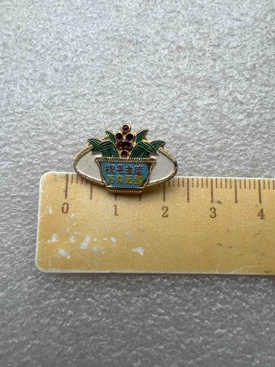 真品像章、纪念章、红色书籍 - 真品像章、纪念章