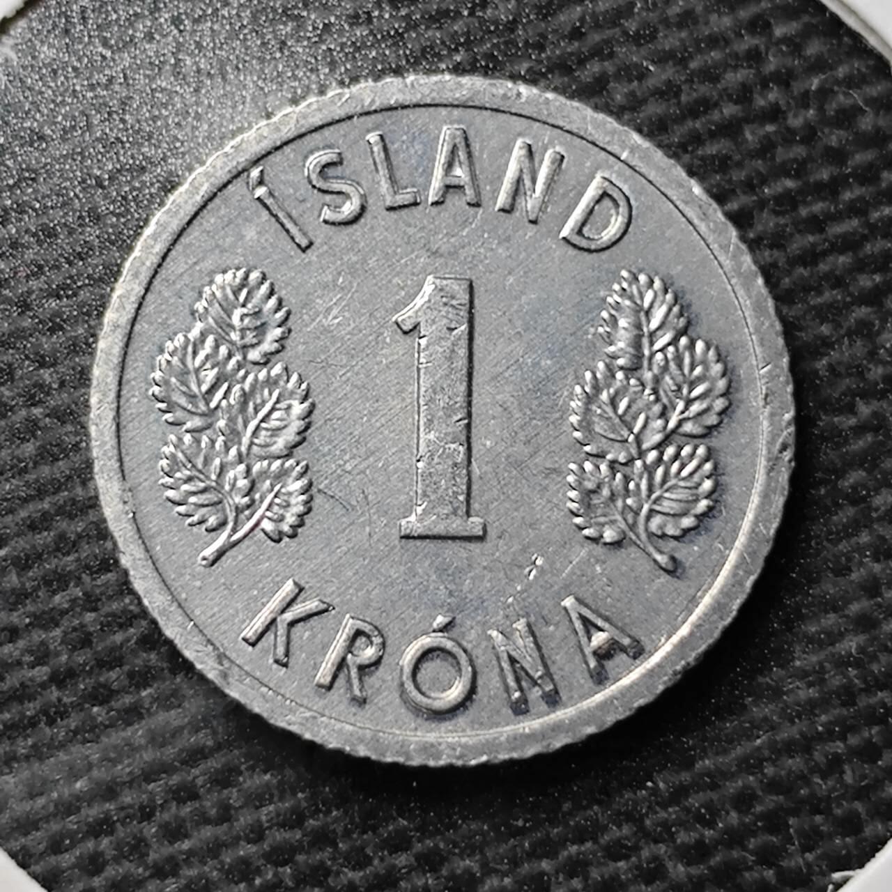 KK钱币收藏小铺 第355场 2月预留时间 周末发货