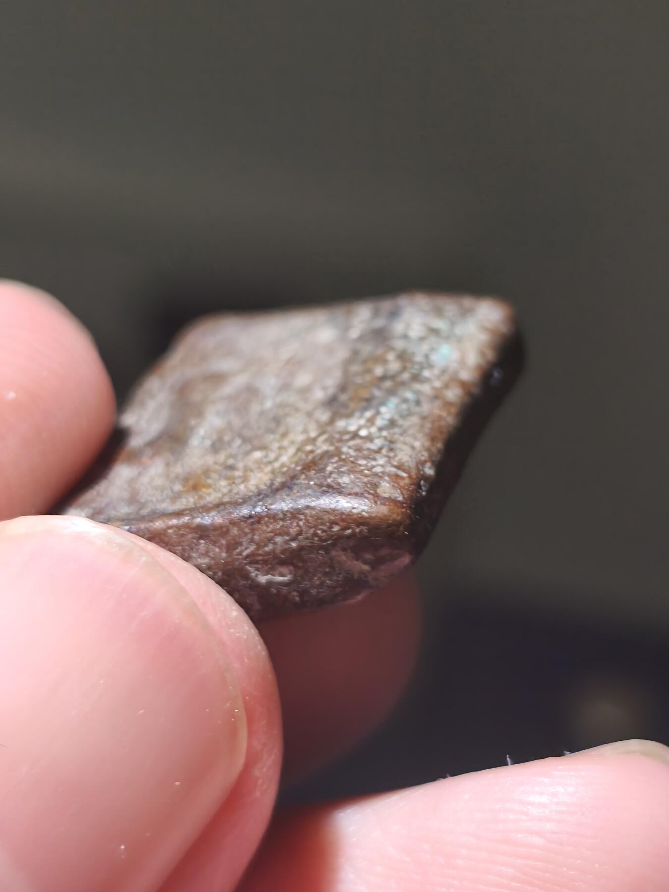 星盘世界钱币十月十八日实惠捡漏专场（低佣金，不直播）本场直播 犍陀螺方铜币，比较少见的品种，大象图案