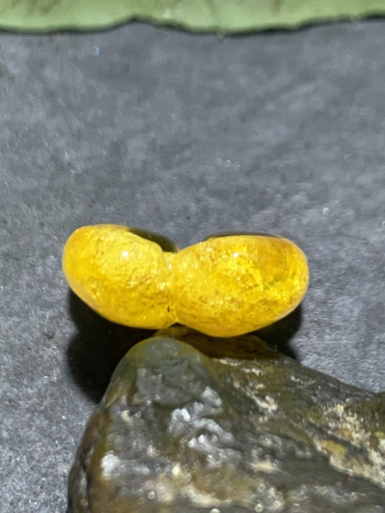 天然乌克兰蜜蜡幸运四叶草珠一个