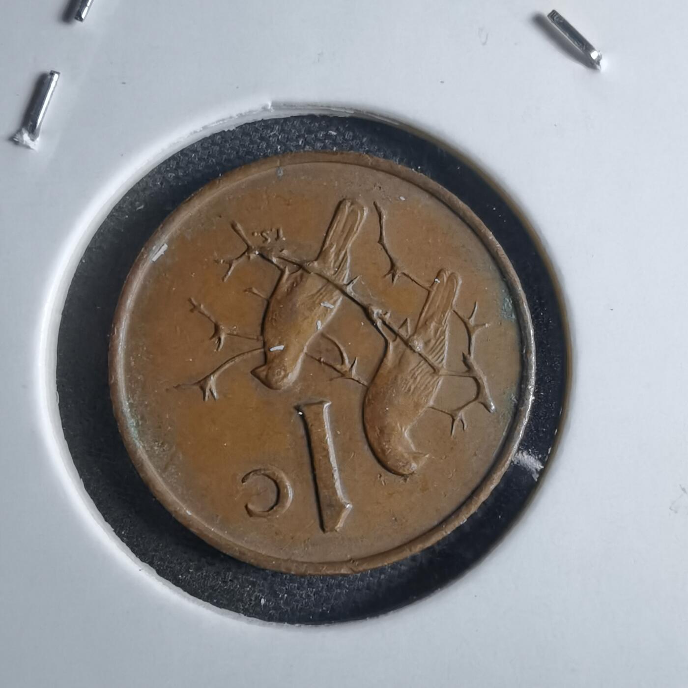 沼泽如烟--第875场 南非1966年一分