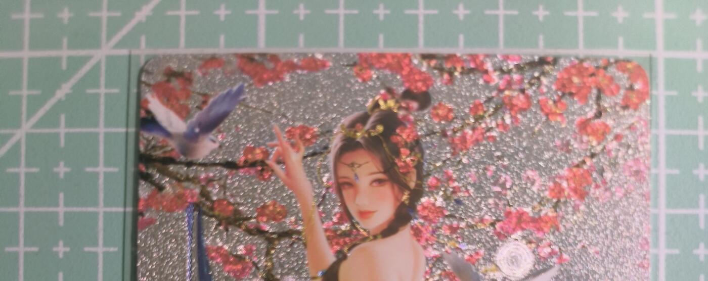 C先生卡牌 第14期 《神州百花谱》《Art系列》《人间传》持续收拍品中... 【粗闪】墨卡文化《四季》玄英·冬 艺术卡