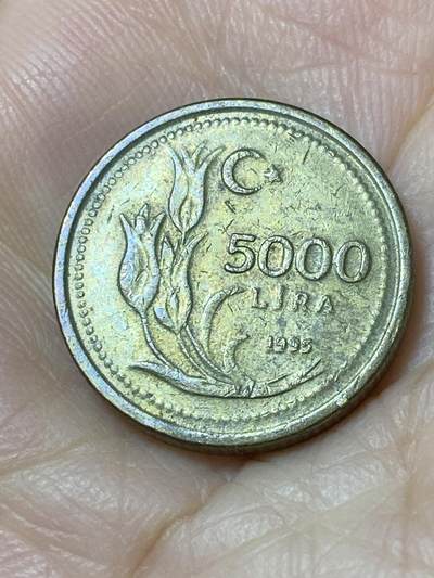 2025年第一百一十场(总第一百三十六场）外国好品散币(免佣金) - 土耳其🇹🇷1995年5000里拉