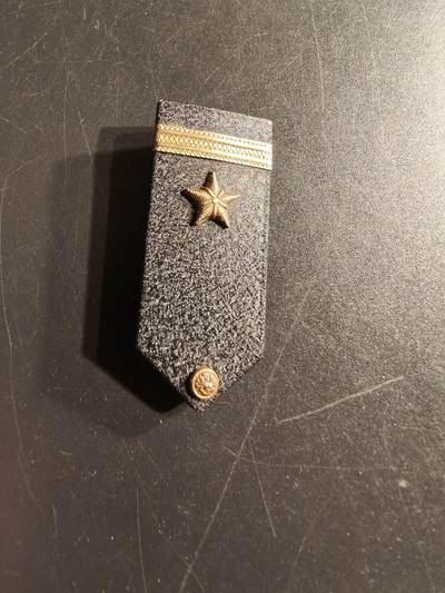 老王徽章第156期 -  美国海军二战925银迷你肩章    横针版     10g