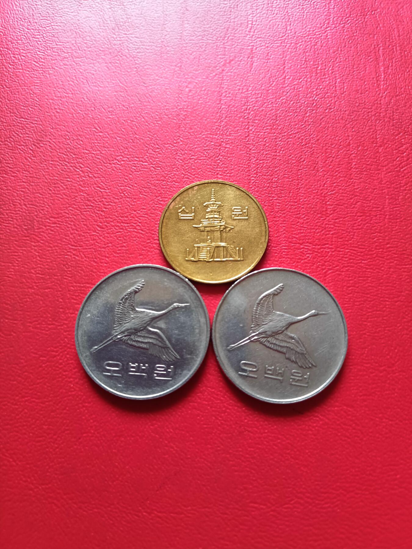 【云涧收藏】第七十一场
