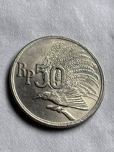 神仙姐姐-中外币专场22 - 原光好品1971 年印度尼西亚 50 卢比