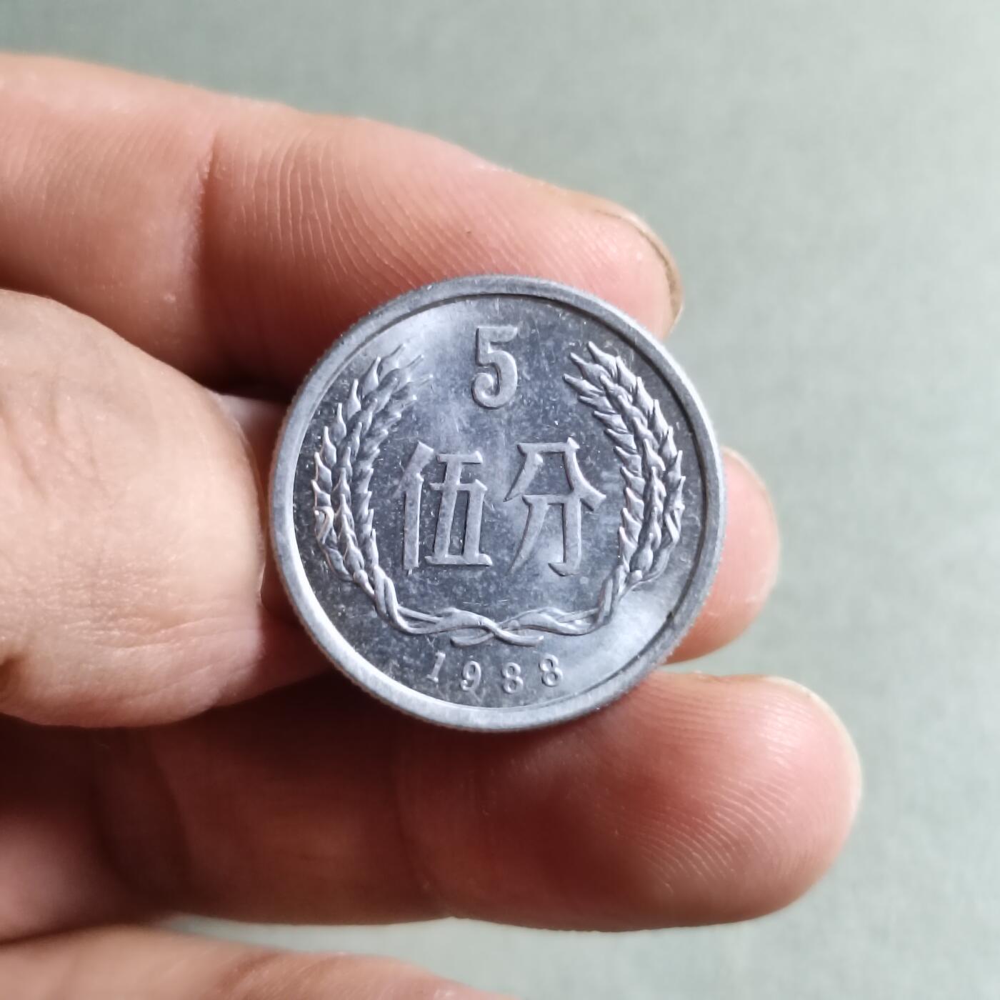 裸币 18:1988年伍分