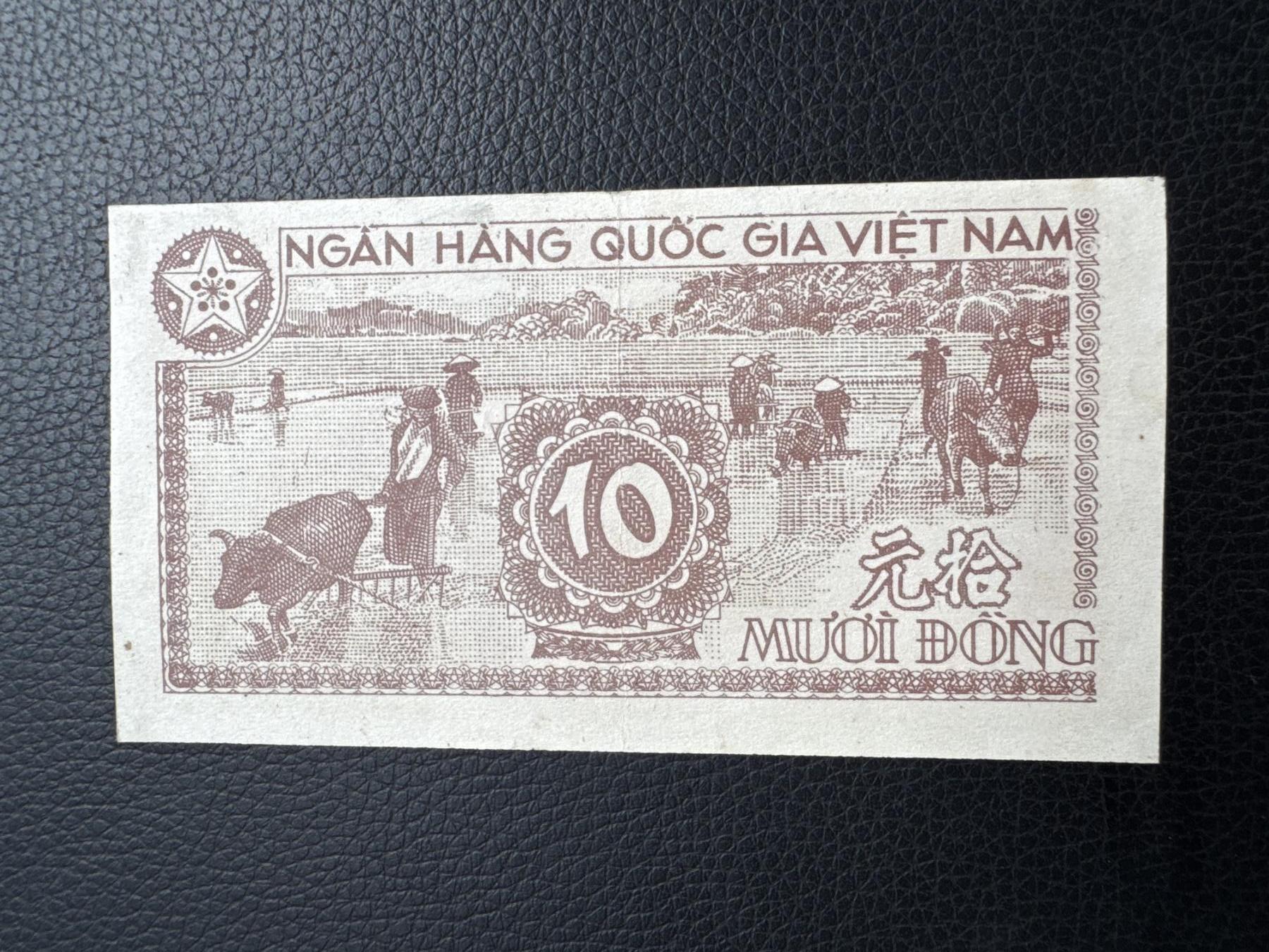 桂P钱币文化工作室拍卖第四十四期 中国代印越南民主共和国1951年版10元，热门代印系列，这是最后带汉字的越南纸钞