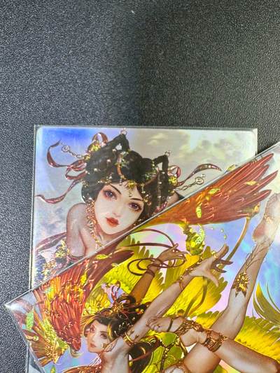NO.13 好又多金牌大场，每周一站式配齐，方便凑单！（周6晚8点截拍，卖家送拍0抽成！） - 卡玩帕克 异界水浒姬第六弹 李应、杨林 镭光