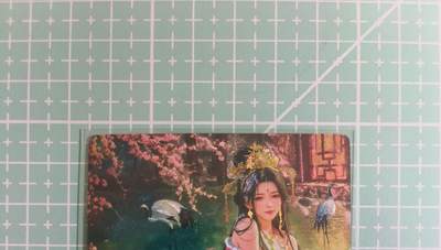 C先生卡牌 第14期 《神州百花谱》《Art系列》《人间传》持续收拍品中... - 【粗闪】奇点卡牌《十二花神》杨玉环