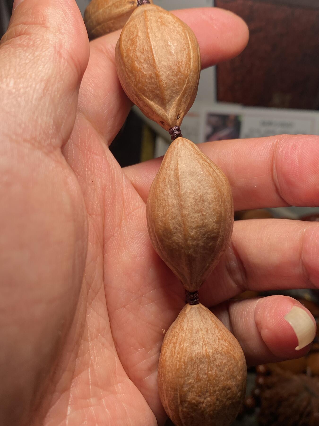 苏工原创手工核雕放漏价 福利苏工核雕，纯，天然梅林大榄核脖挂手持，个性十足，等待有缘人，市场少见，漂亮，超大，尺寸2。3x3.9左右喜欢的来